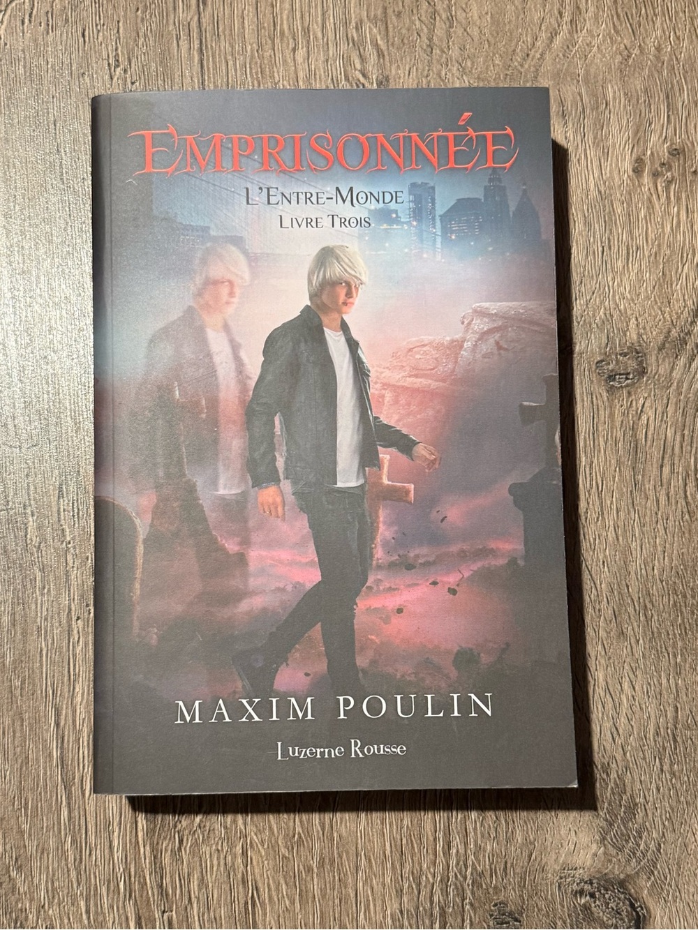Emprisonnée by Maxim Poulin - Livre 3